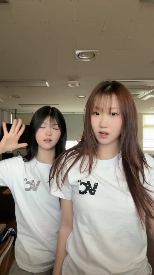 TikTok video thumbnail by didgydid