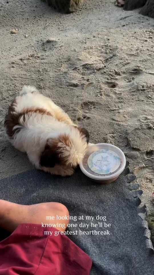 TikTok video thumbnail by gingerist05