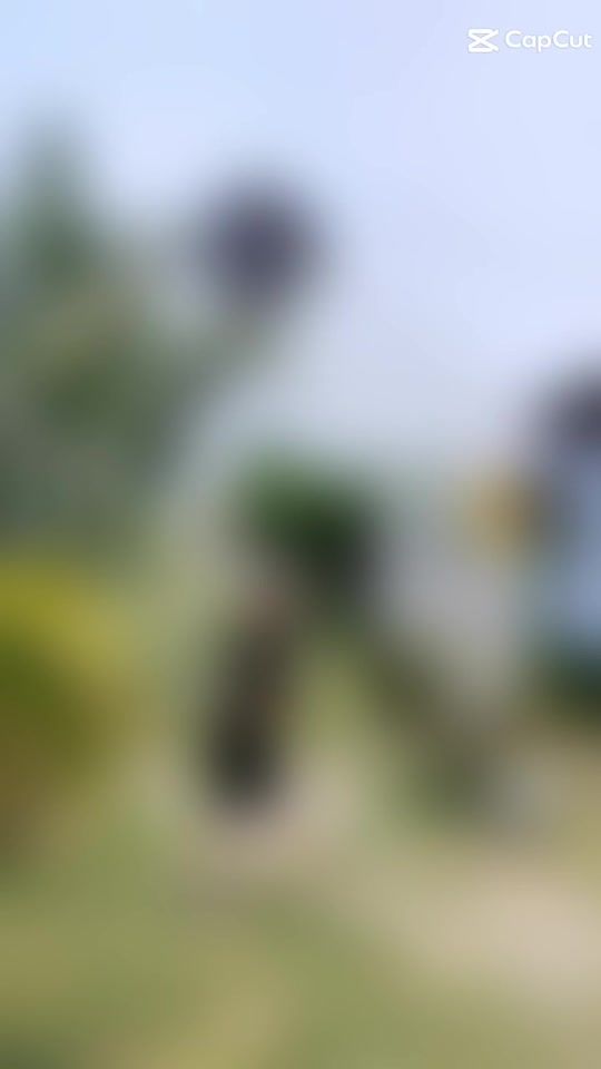 TikTok video thumbnail by mingyue123