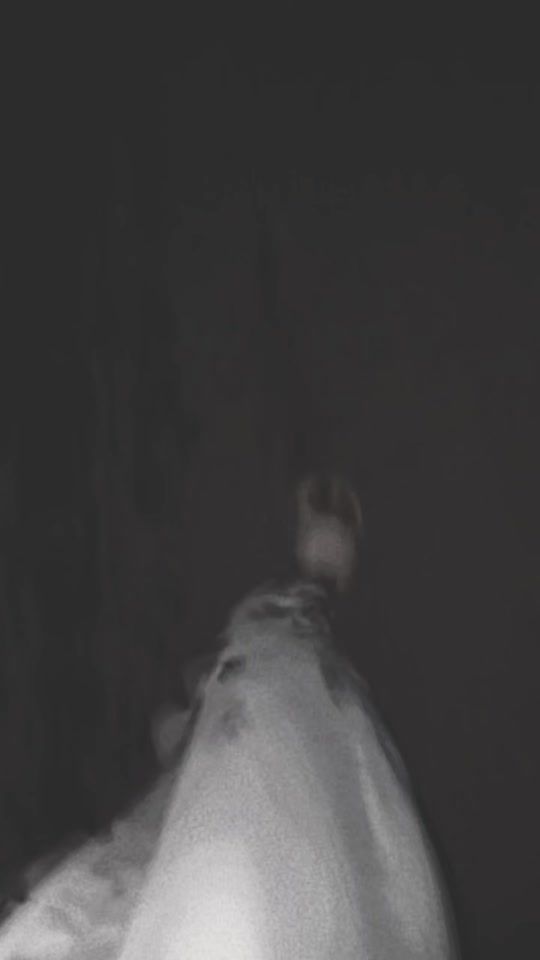 TikTok video thumbnail by sathom2499