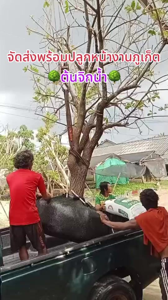 TikTok video thumbnail by beearisa56