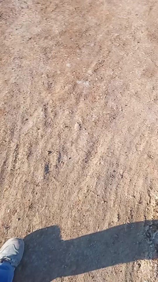 TikTok video thumbnail by maidadecal3