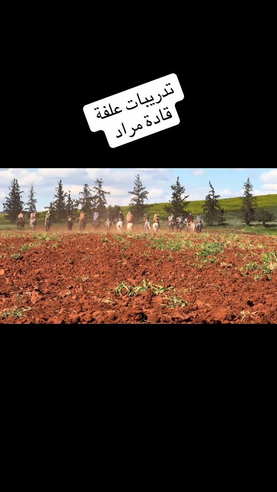 TikTok video thumbnail by mohamed.merad90
