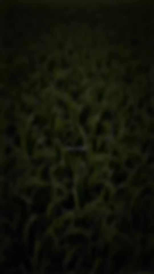 TikTok video thumbnail by rodro__khan