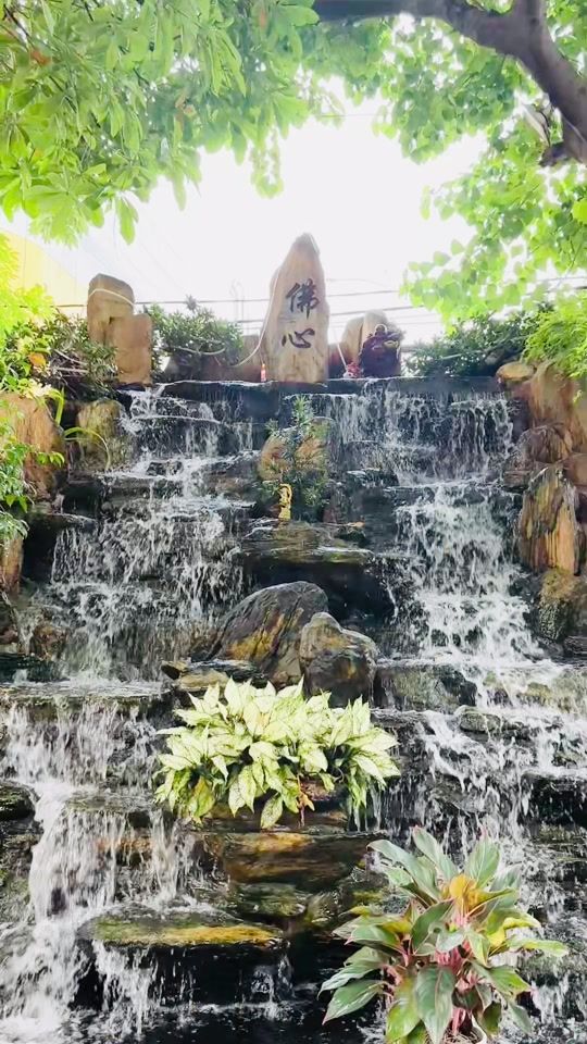 TikTok video thumbnail by phong_lan7