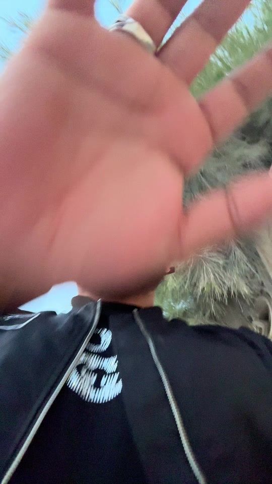 TikTok video thumbnail by amirovitch_pianiste