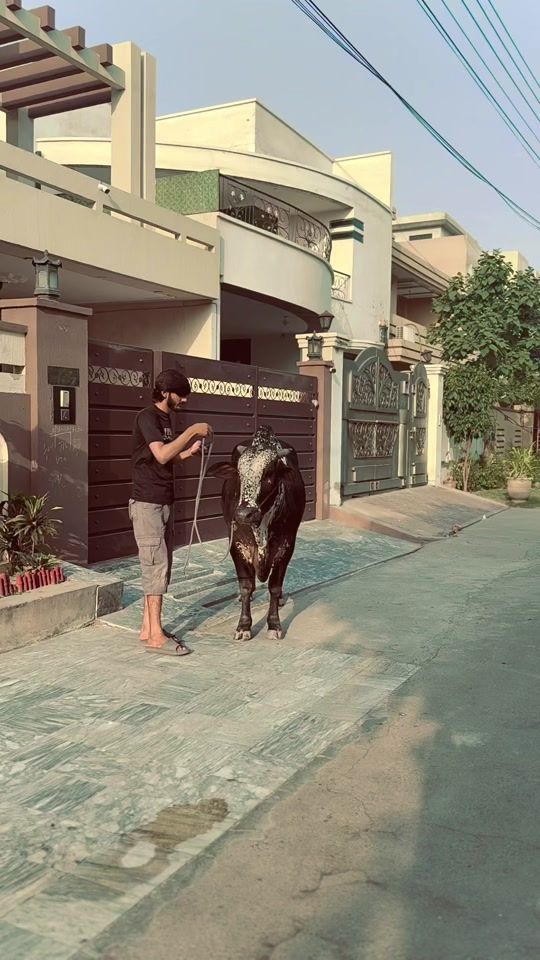 TikTok video thumbnail by muneebzahid47