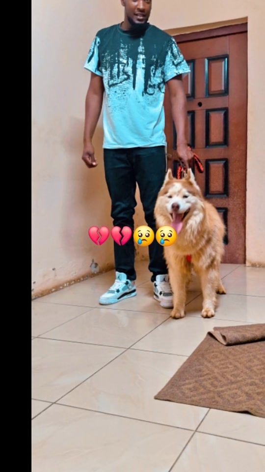 TikTok video thumbnail by machechali