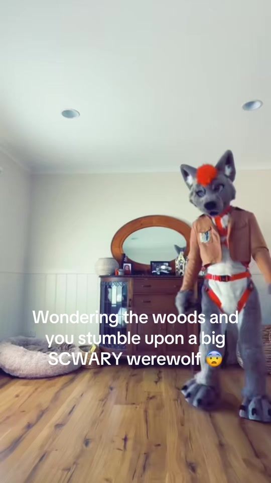 TikTok video thumbnail by deluxecanine