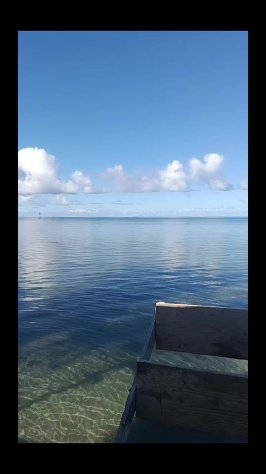 TikTok video thumbnail by miti1008