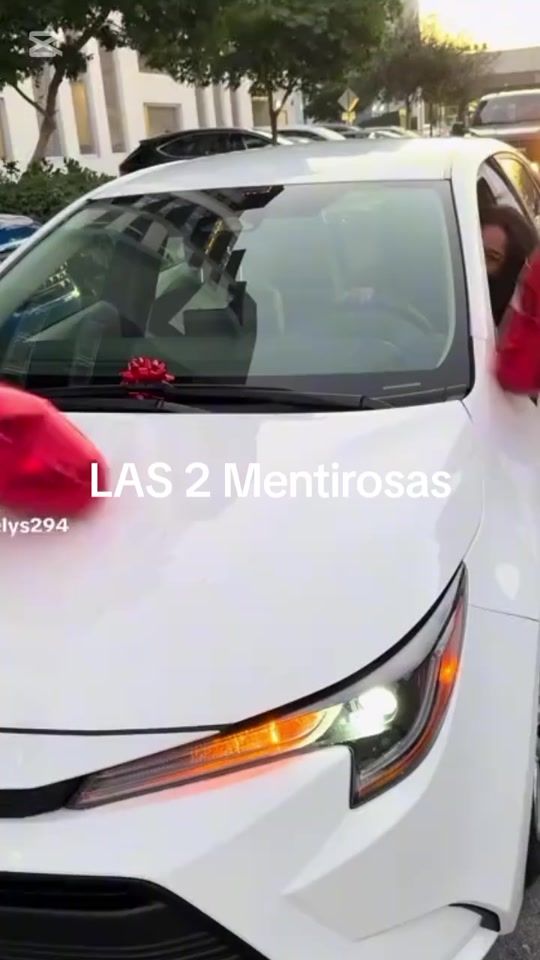 TikTok video thumbnail by luzvenezu