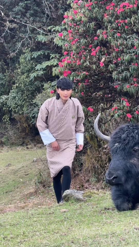 TikTok video thumbnail by cring_chaba