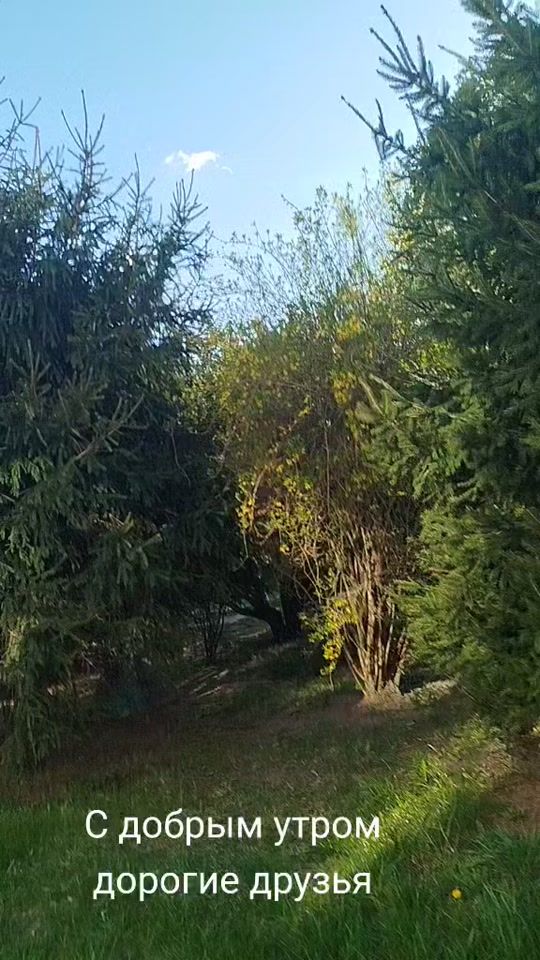 TikTok video thumbnail by user6051481139091