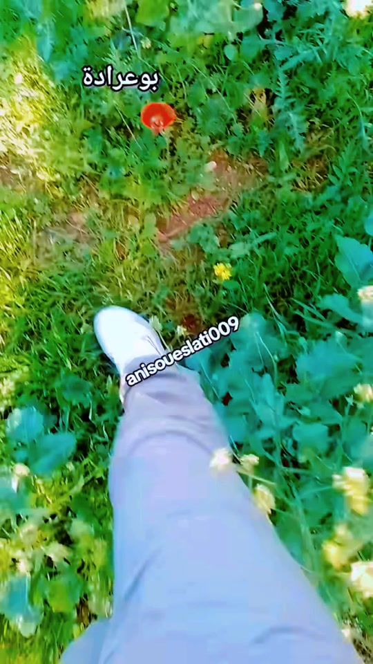 TikTok video thumbnail by anisoueslati009