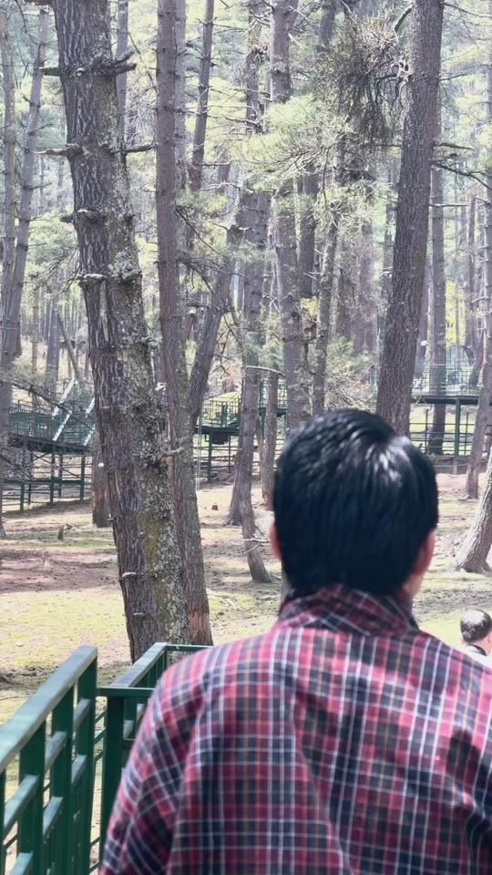 TikTok video thumbnail by gongsa.ebht