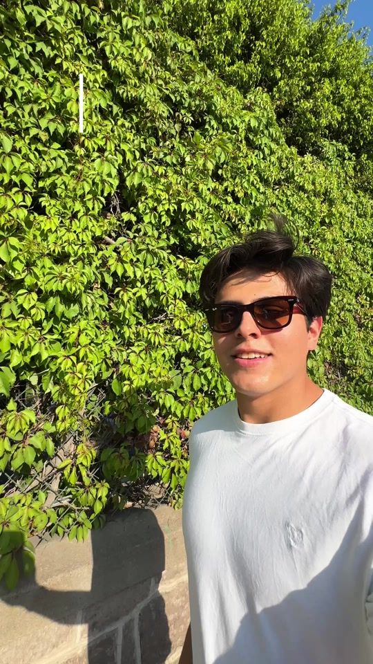 TikTok video thumbnail by emibarbosam