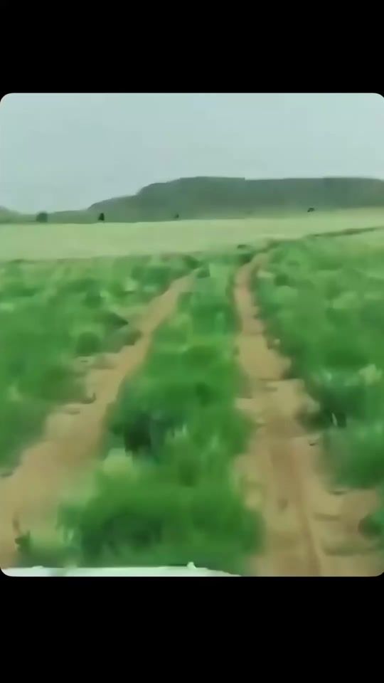 TikTok video thumbnail by hq2m_