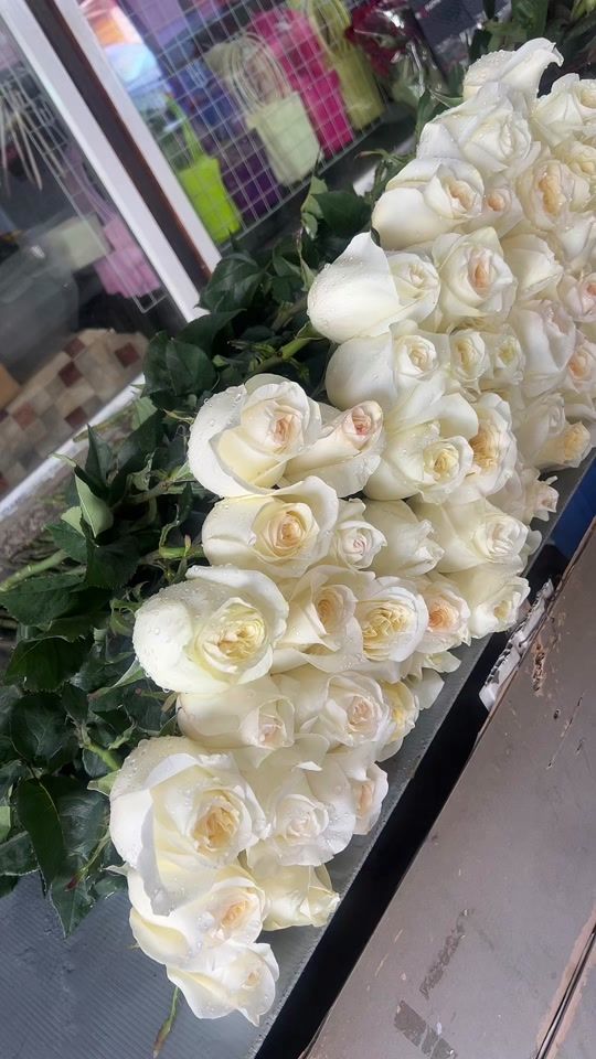 TikTok video thumbnail by mars..flowers