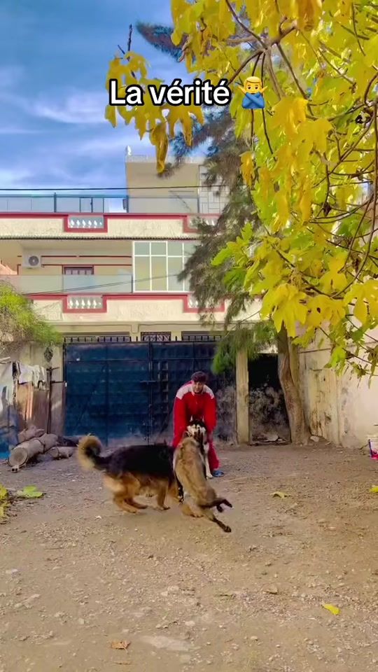 TikTok video thumbnail by hako.zin16