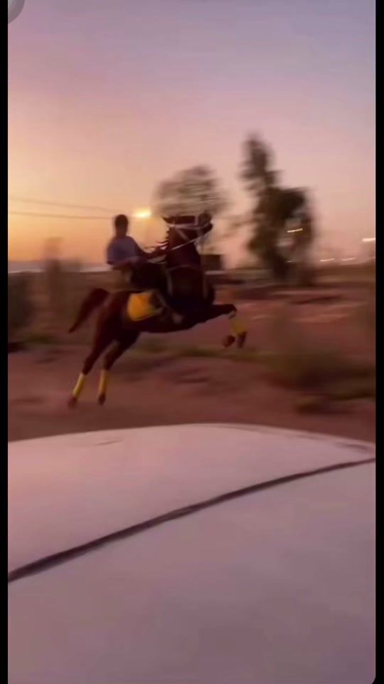 TikTok video thumbnail by _3_4_12
