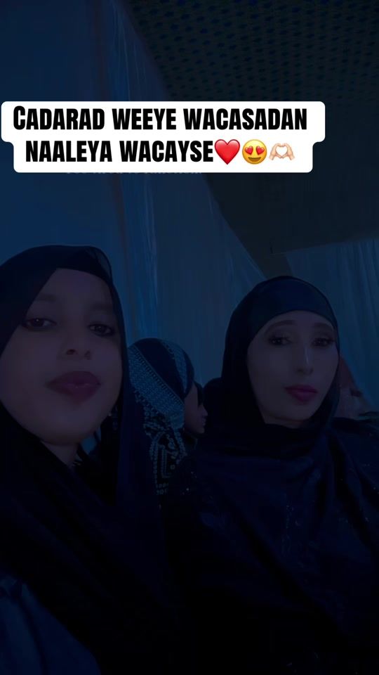 TikTok video thumbnail by laylalada