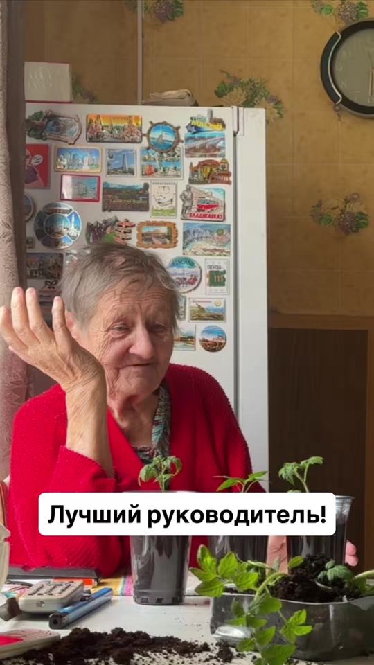 TikTok video thumbnail by terebilov_anton