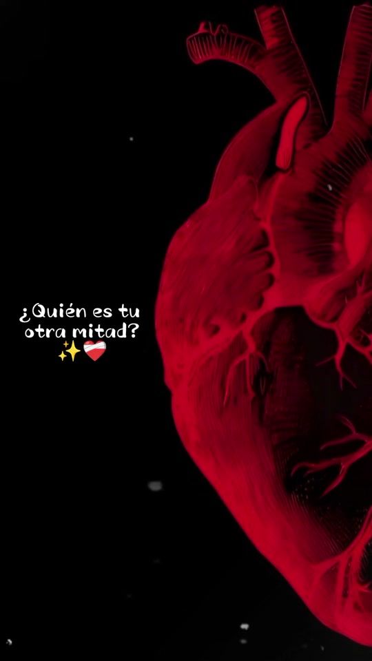 TikTok video thumbnail by kellyvidal33