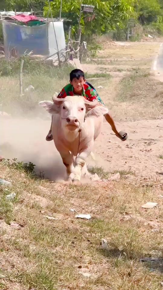 TikTok video thumbnail by t636007