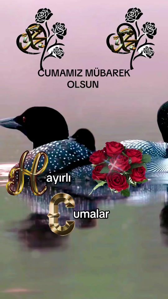 TikTok video thumbnail by 19_34_arzu
