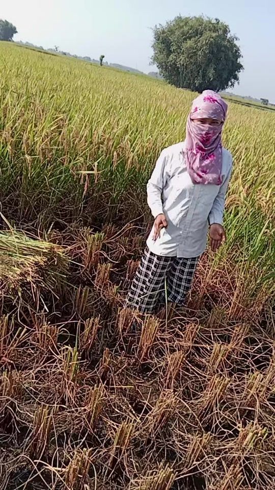 TikTok video thumbnail by rajwonshikatama