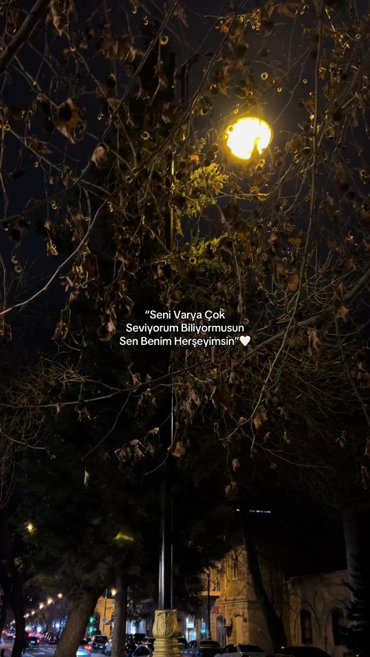 TikTok video thumbnail by veliyews