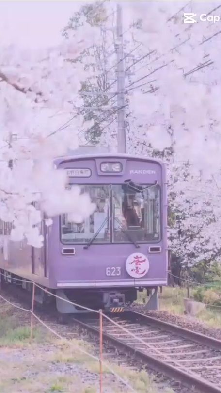 TikTok video thumbnail by vsq777557303
