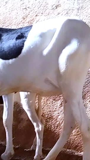 TikTok video thumbnail by user332532285920