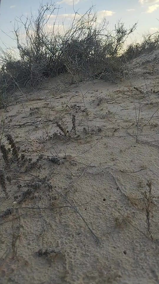 TikTok video thumbnail by samirrejeb