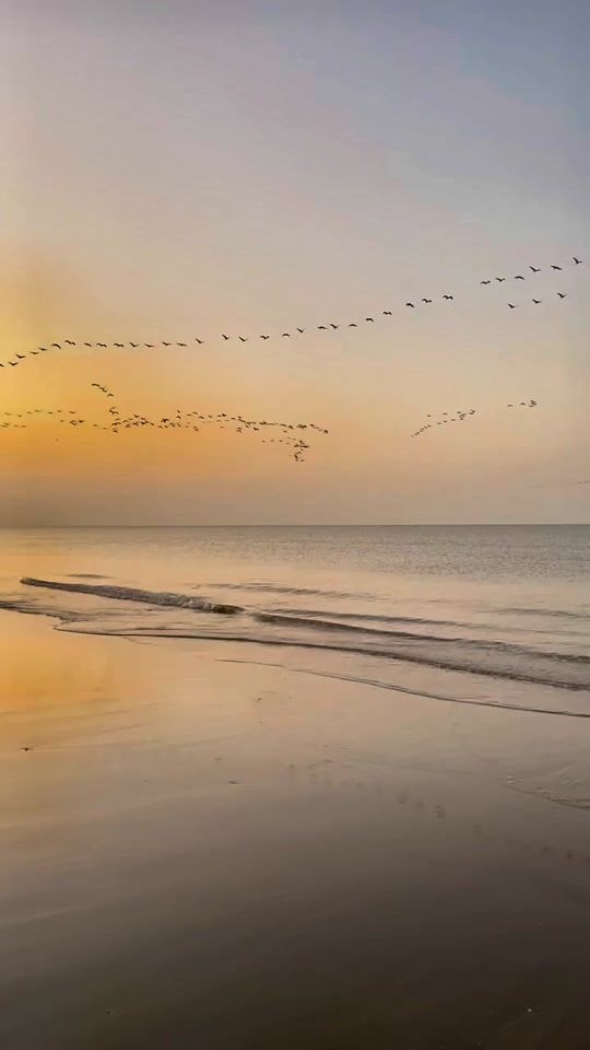 TikTok video thumbnail by .lourdes62