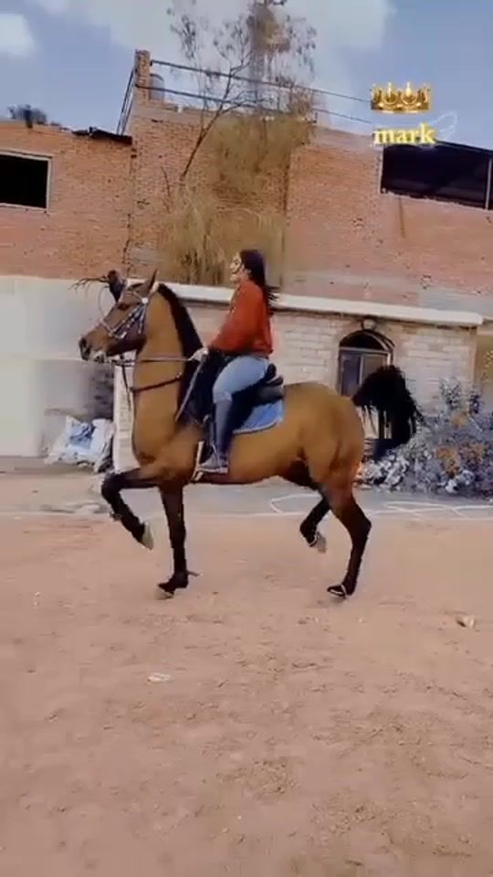 TikTok video thumbnail by foued318