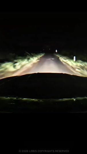 TikTok video thumbnail by lobis_edits