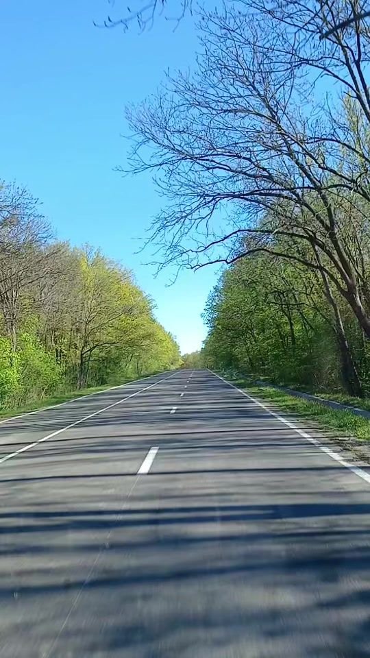 TikTok video thumbnail by alexandrakupcea
