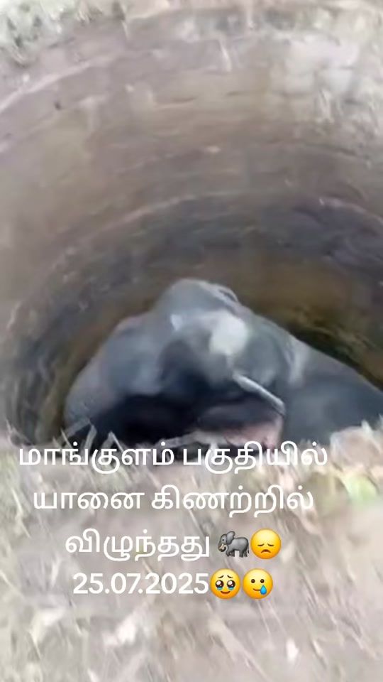 TikTok video thumbnail by thalapathithaksan