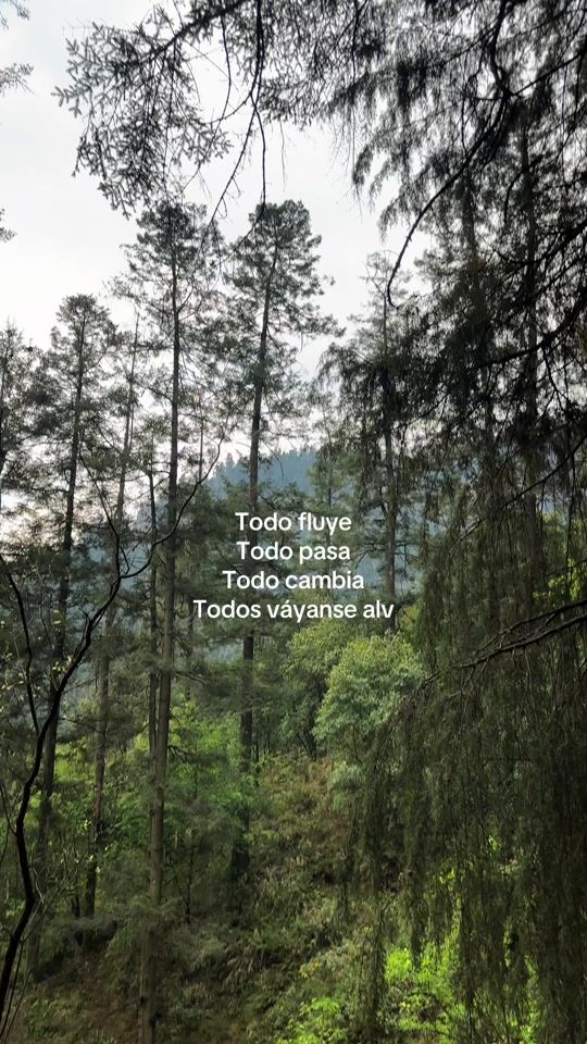 TikTok video thumbnail by boonaays