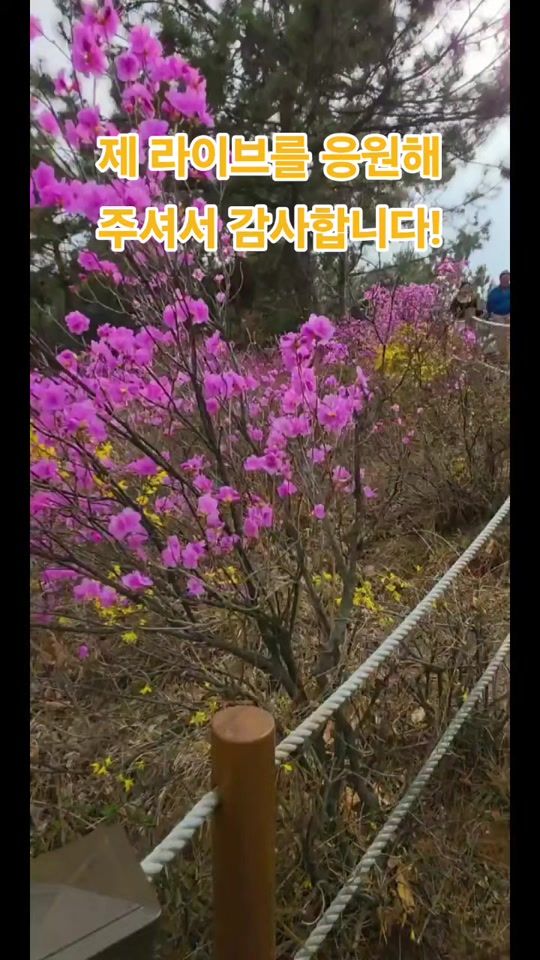TikTok video thumbnail by kst7320