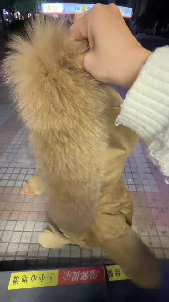TikTok video thumbnail by cattortalorange