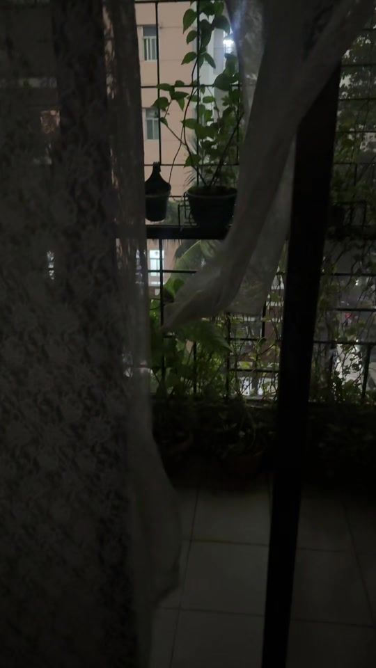 TikTok video thumbnail by wildcatmahi