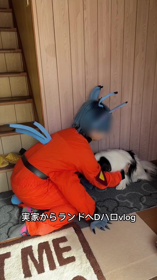 TikTok video thumbnail by watara1__
