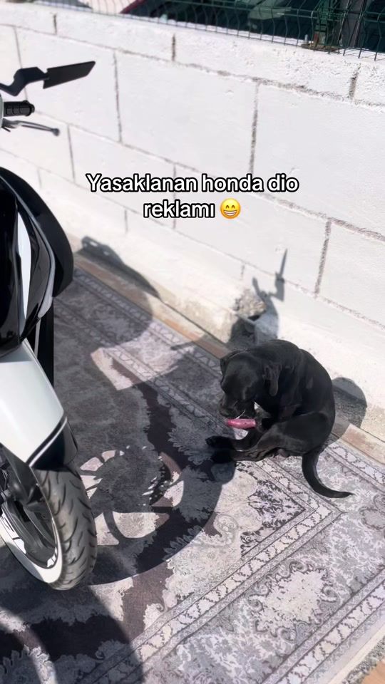 TikTok video thumbnail by selimhubb