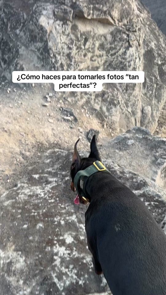 TikTok video thumbnail by thedobieteam