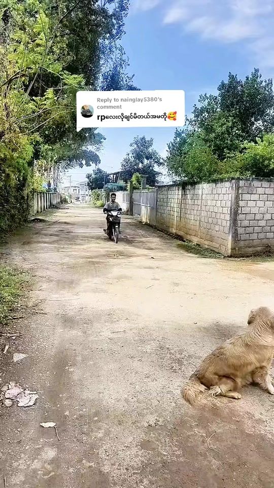TikTok video thumbnail by ko.min7091