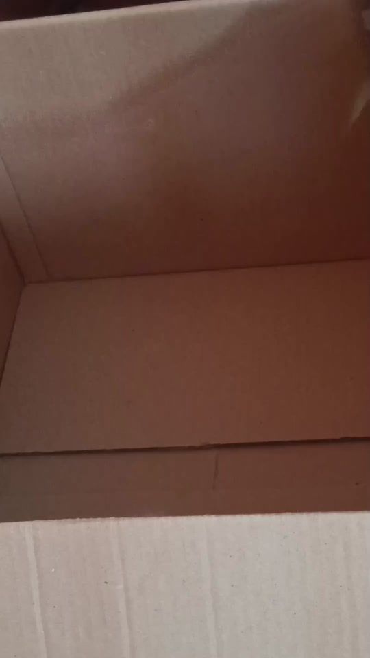TikTok video thumbnail by e_y_m_importaciones