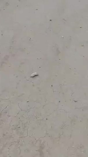 TikTok video thumbnail by she3er88