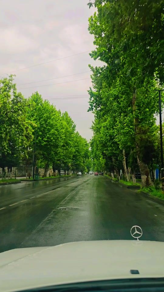 TikTok video thumbnail by agdas_anar